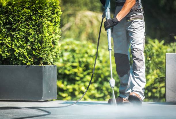 Best Roof Washing  in Nisswa, MN