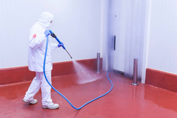Best Oil Spill Cleanup  in Nisswa, MN