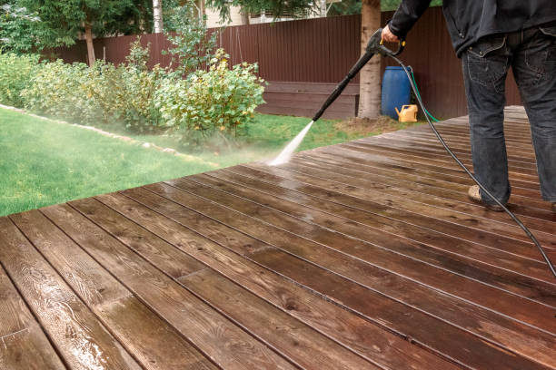 Best Solar Panel Cleaning  in Nisswa, MN