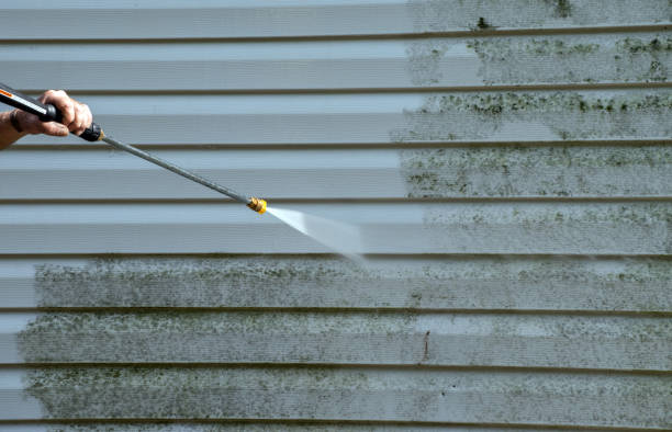 Best Building Exterior Washing  in Nisswa, MN